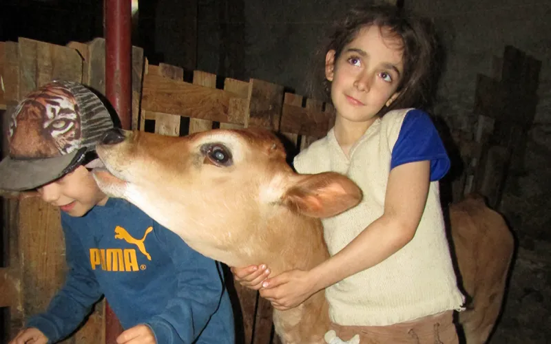 Colo à la ferme